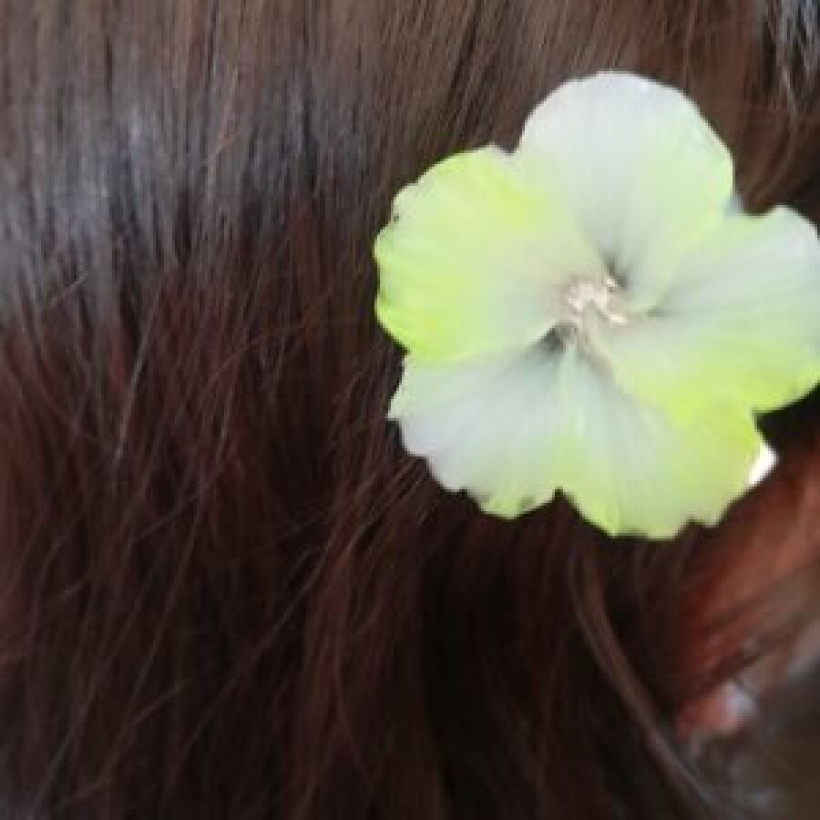 Barrette Fleur Hibiscus