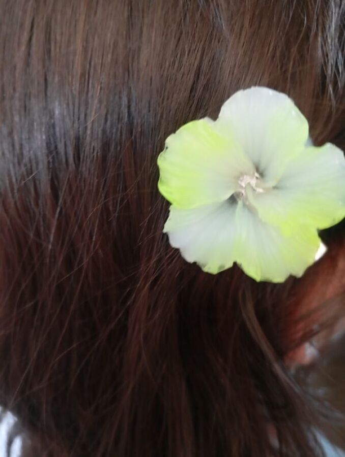 Barrette Fleur Hibiscus